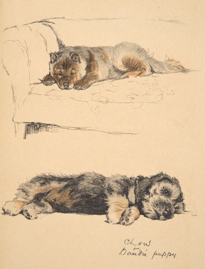 Chow and Dandie Puppy, Illustrations from his Sketch Book for 